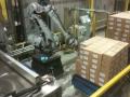 Vision guided robotic multibox depalletising system  rei automation