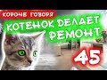 КОРОЧЕ ГОВОРЯ, КОТЕНОК ДЕЛАЕТ РЕМОНТ 45 / Встреча старых друзей / Бездомный котенок Лайки