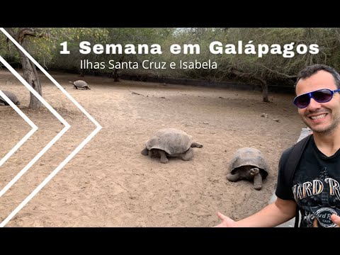 Vídeo: Os 7 melhores passeios em Galápagos de 2022