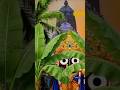 Jay Jagannath🙏❤🌹krishna#reelsvideo #viralsong#youtubeshorts #videos #love
