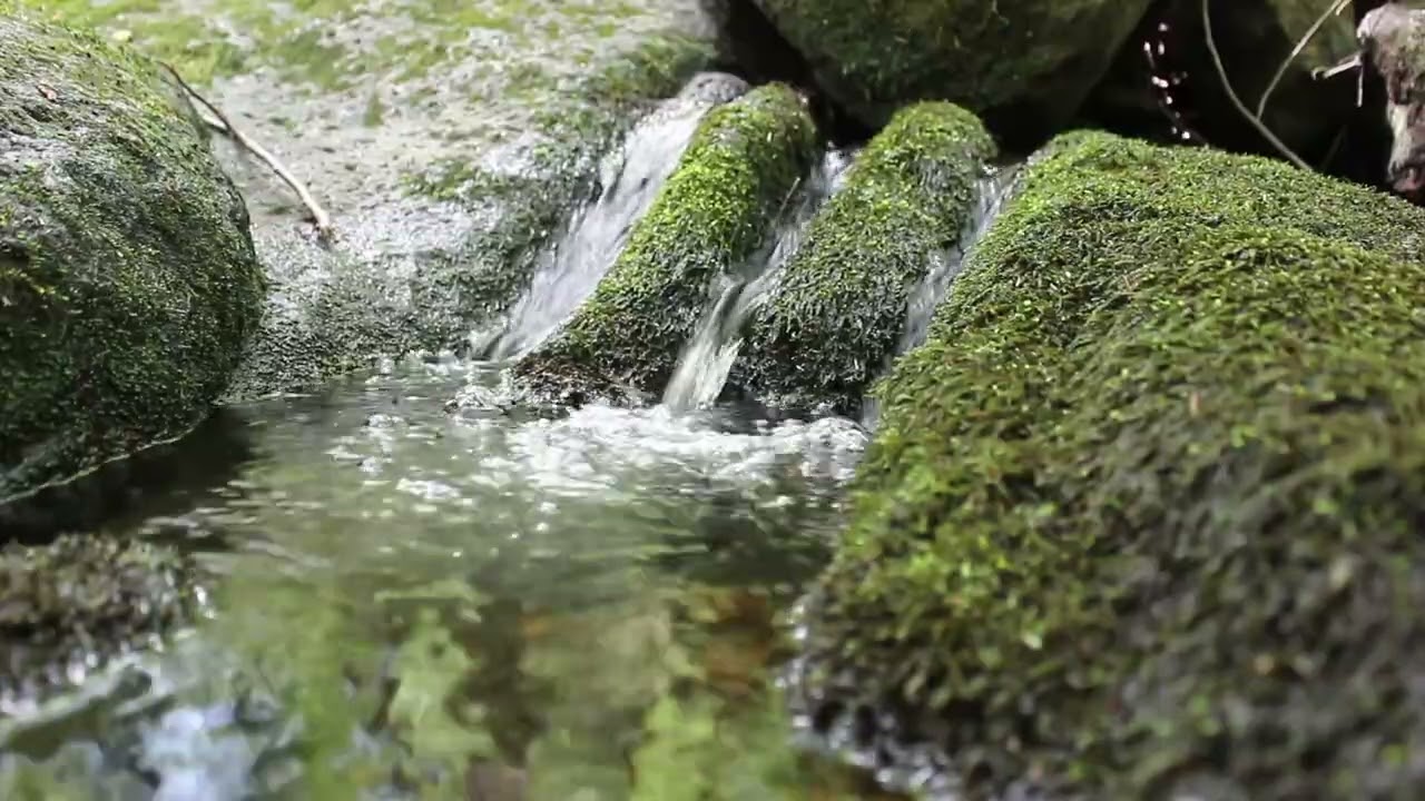 Relaxing Water Stream | For Studying, Meditation, and Sleep |