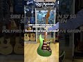 Ernieball Polypro Guitar strap