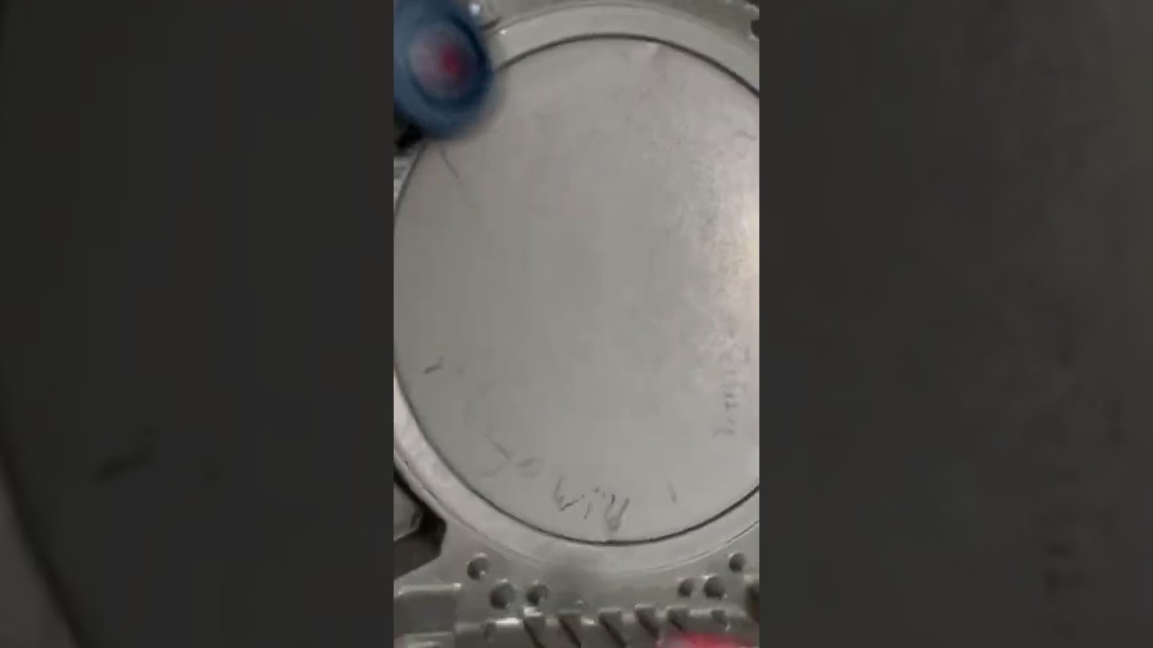 Z Achilles vs. Winning Valkyrie