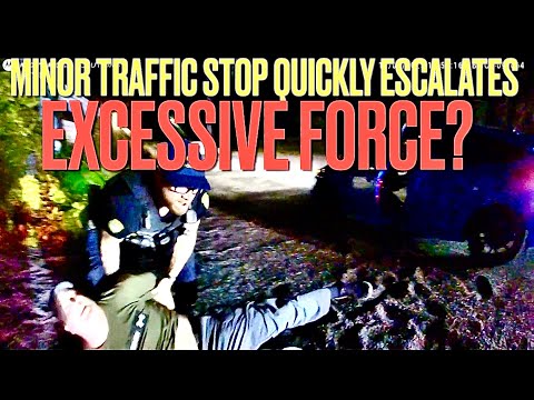 Excessive Force For Red Light Ticket?
