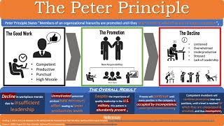 The Peter Principle Infographic