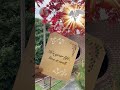 🌟🌷🌞 Is this your life? A Message From Your Guardian Angel. 04/06/2023