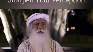 Sadhguru on sharpening your perception