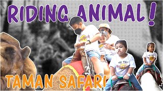 LET'S GO KITA RIDING ANIMAL!!