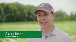 Enversa™ Herbicide Delivers Flexible Weed Control in Soybeans & Cotton
