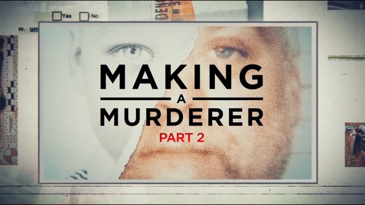 Making a Murderer (Season 2) - TV REVIEW