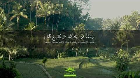 تلاوة رائعة: " رَبِّ السَّمَاوَاتِ وَالْأَرْضِ وَمَا بَيْنَهُمَا " | سورة الدخان | قرآن