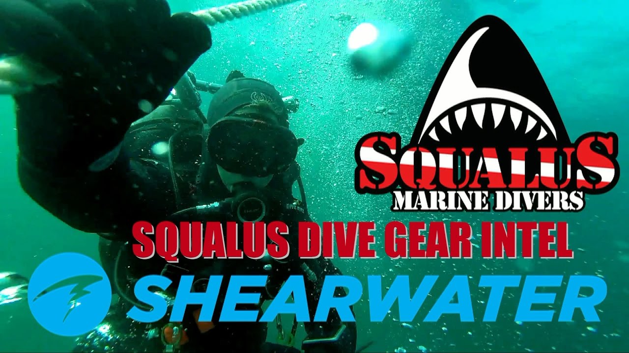 SHEARWATER DIVE COMPUTERS, PETREL, PERDIX - SQUALUS MARINE DIVERS