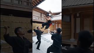 Kung fu võ thuật #kungfu #action #giaitri #movie #seedance2