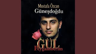 Rabbim Allah diyeceğim — Mustafa Özcan Güneşdoğdu kapak görseli