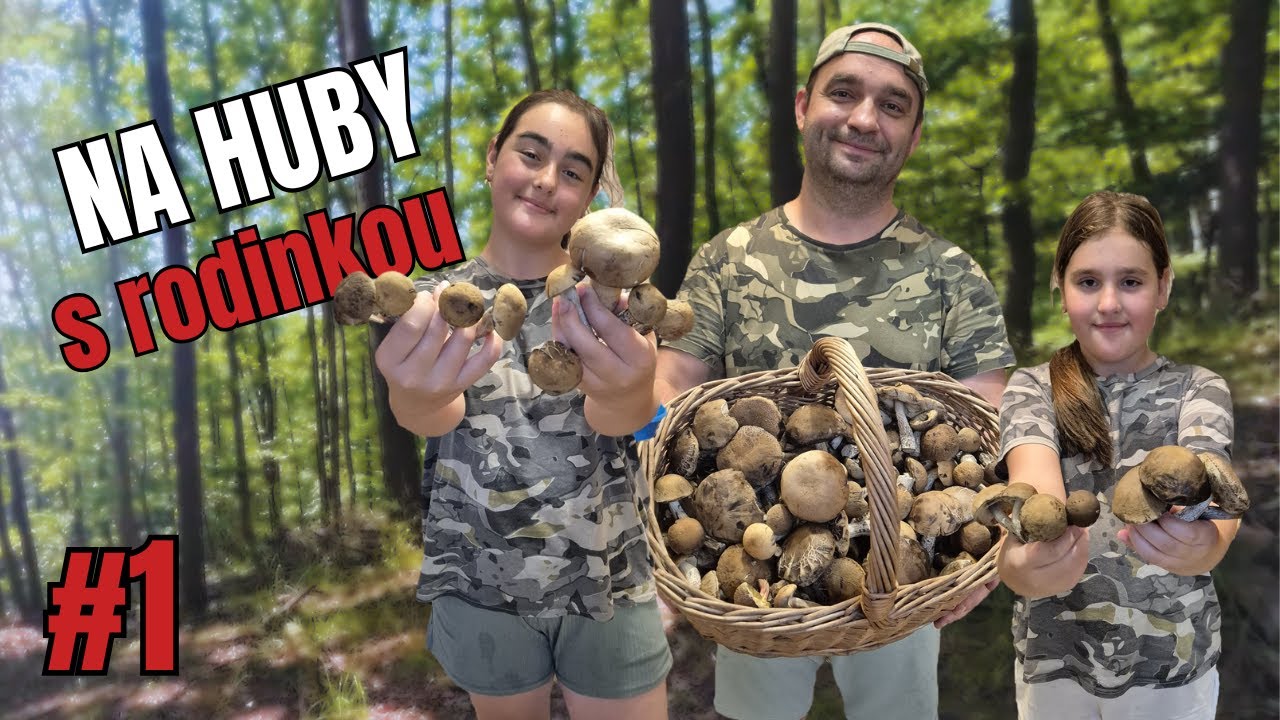 NA HUBY 2025 s rodinkou - Miesto plné húb - Plný košík za pár minút - ZBER HÚB - HOUBY - Hríby