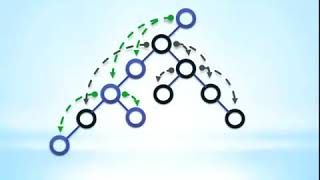 Jeunesse Team Commissions. Binary System explained