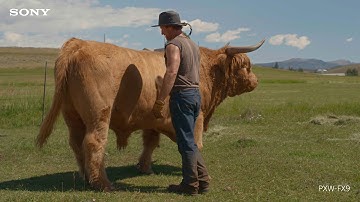 Sony   FX9   Sample Footage 