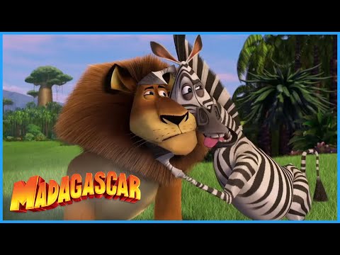DreamWorks Madagascar | Alex and Nature | Madagascar | Kids Movie