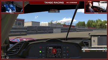 iRacing - graphic issue - flickering gray areas @ Nordschleife