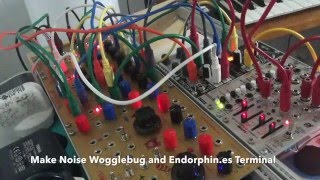 wogglebug chaos 1