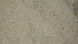100 0073 WMV V9