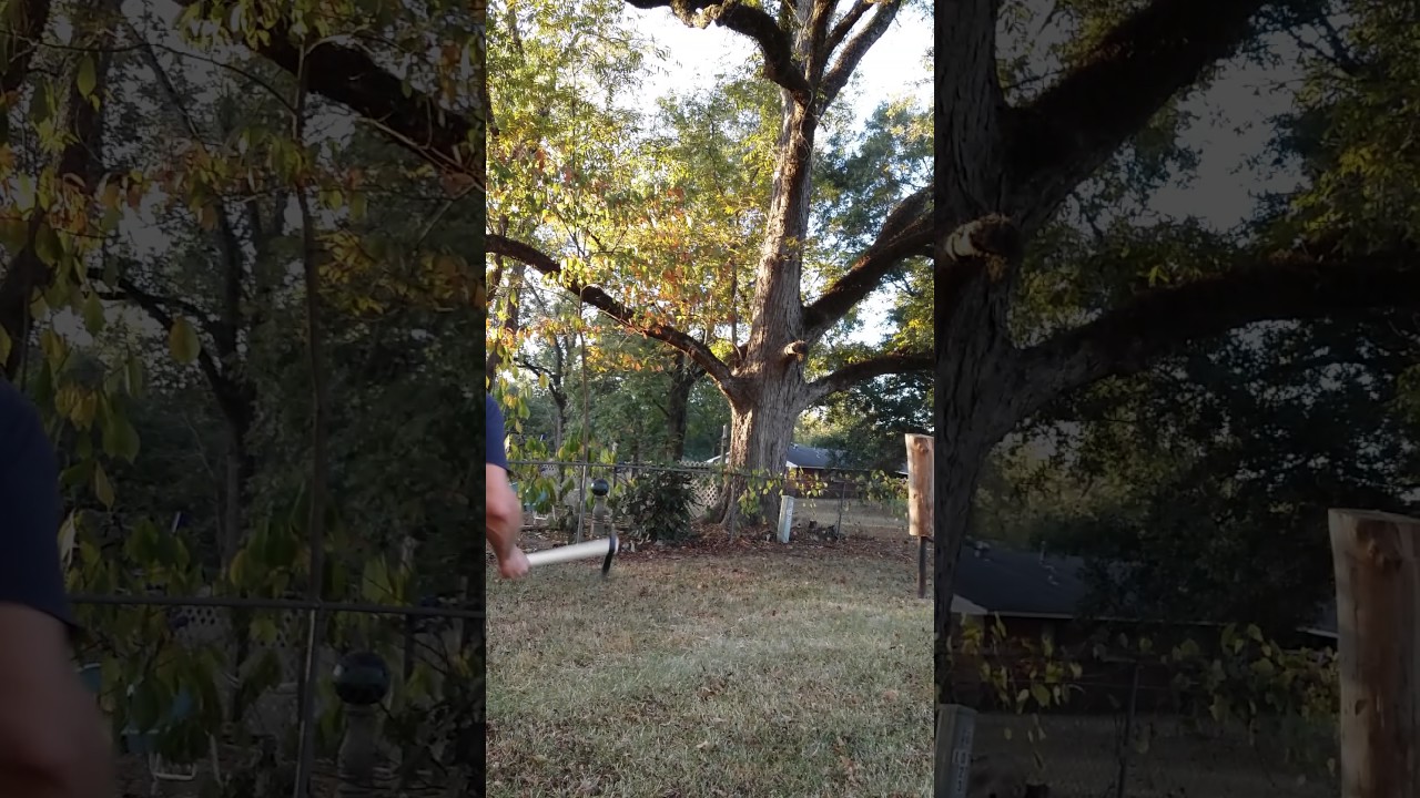 First throw with the Cold Steel Trail Hawk.