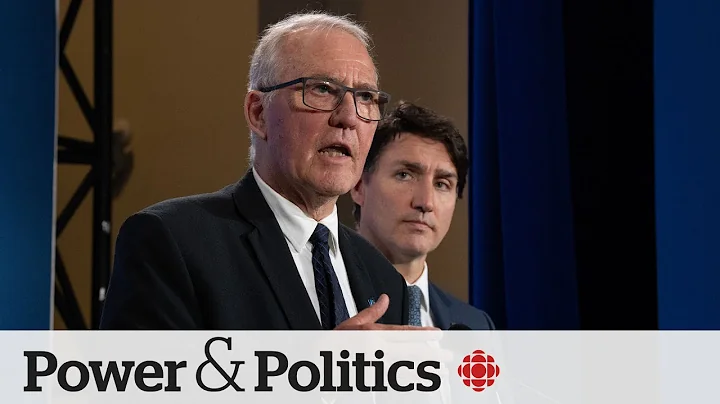 Meeting NATO military target an ‘investment’ for Canada: Bill Blair | Power & Politics