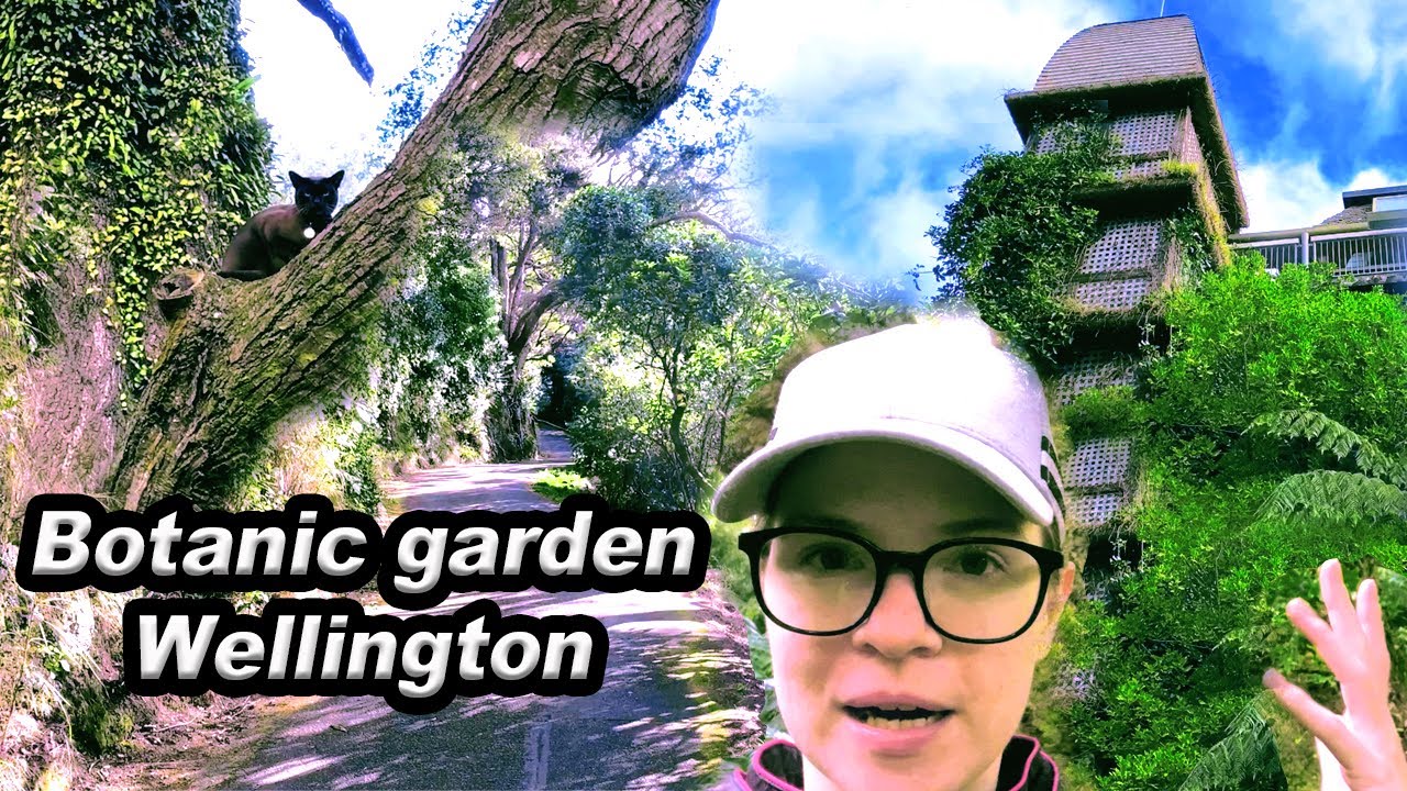 Botanic garden - Wellington (New Zealand)