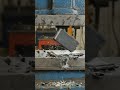 Hydraulic Press vs Smartphone – Extreme Crushing Test #usa #phonecrusher #hydraulicpress