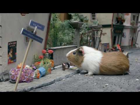 მსუნაგები ეპიზოდი 7 გოჭილა