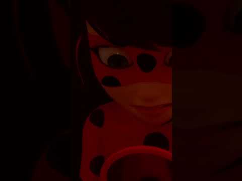Fast hätte Ladybug