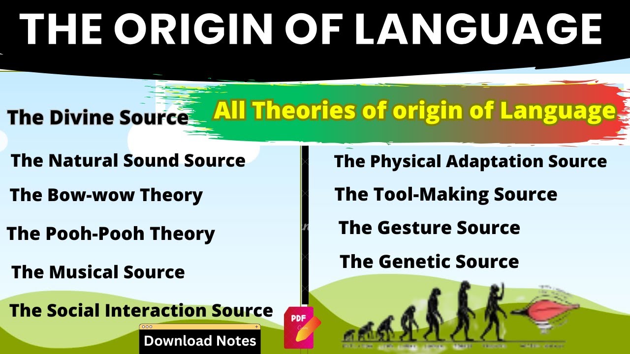 origin of language| what is the origin of language| linguistics - YouTube