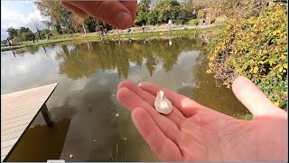 Einfacher Teigdreher Powerbait Formen Forellenteig Richtig Formen, Forellenangeln Mit Powerbait