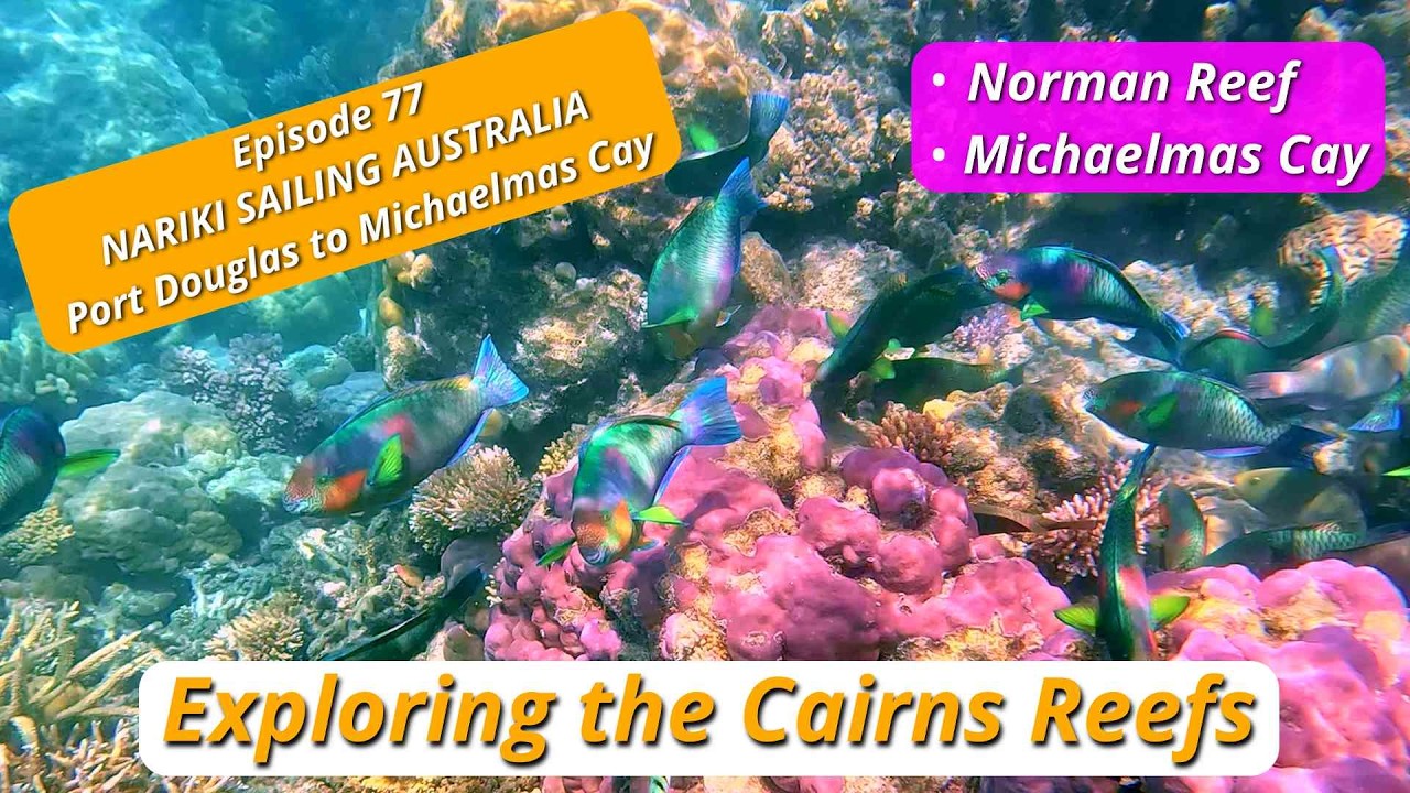 ⁣Episode 77 -  Exploring the Reefs off Cairns