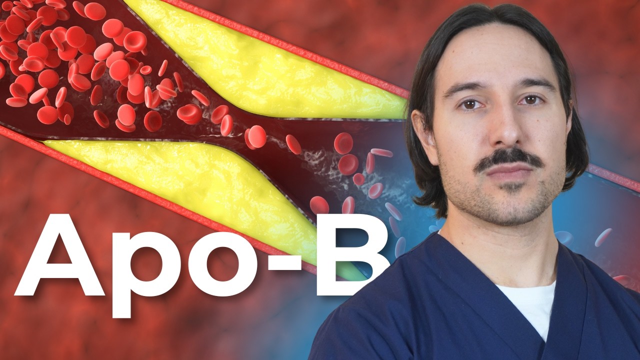 Apo B: el marcador cardiovascular más importante (y por qué el LDL se queda corto)