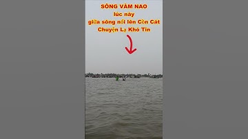 CHUYỆN LẠ SÔNG VÀM NAO NỔI LÊN CỒN CÁT không thể tin được bà con hiếu kỳ đến tắm cồn cát #shorts