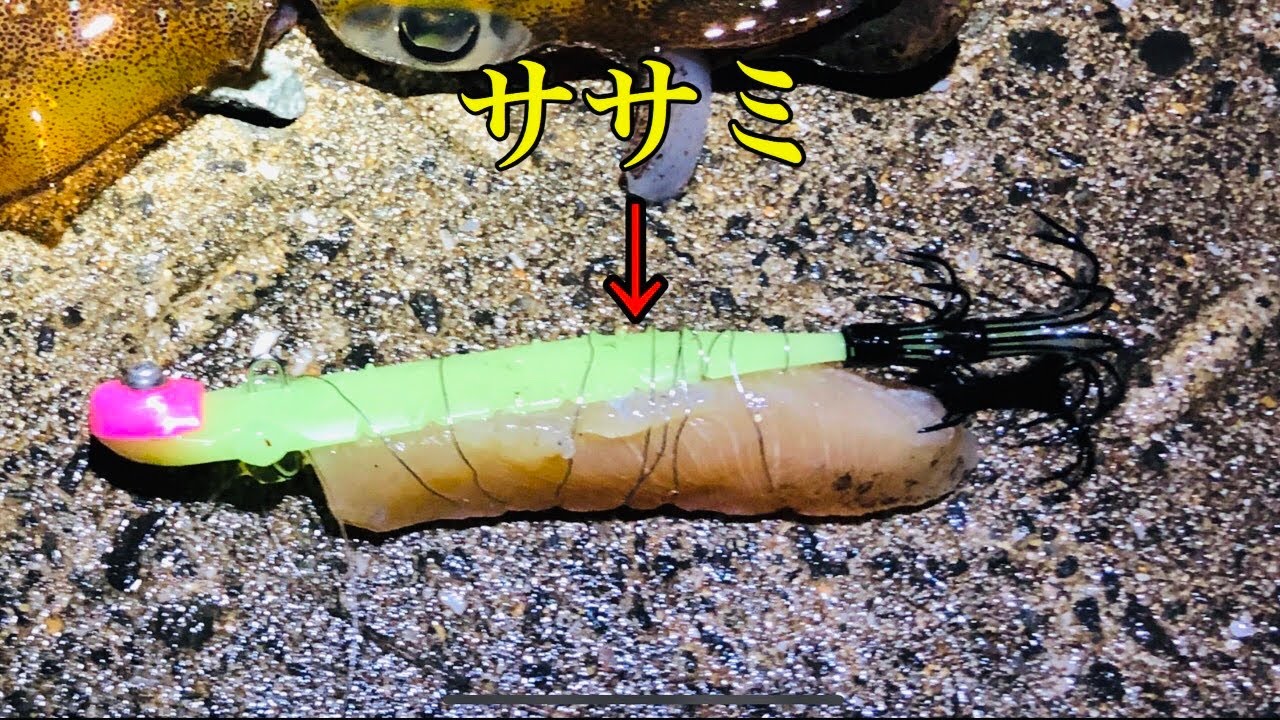 爆風のなかヤリイカ釣りに呼子にきたらまさかの が釣れた。【佐賀県 エサ巻きテーラー】 - MaxresDefault