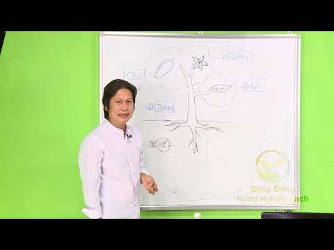 Video CHỦ ĐỘNG SẢN XUẤT THUỐC TRỪ SÂU SINH HỌC - Phần 1 - YouTube