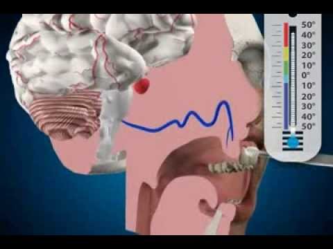 examination method for tooth - cold test