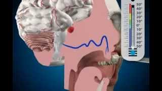 examination method for tooth - cold test