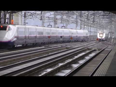yamabiko&Komachi+Hayate　E2&E3+E5　JR東北新幹線　こまちはやて福島駅にて