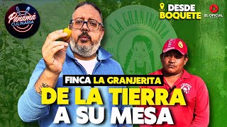 La Revolución de los Vegetales  | FINCA LA GRANJERITA en Boquete  Panamá Culinaria #1