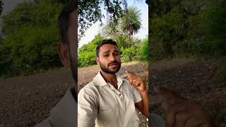 YouTube search shots feed #hindisong #bollywood #love #bollywoodsongs #youtubeshorts #viral