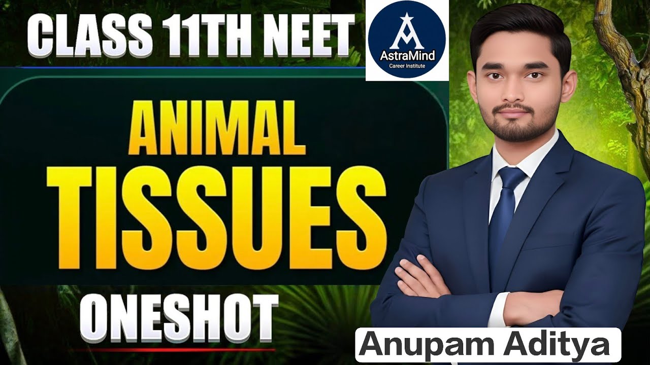 Animal Tissue One Shot | Structural Organisation In Animals | NCERT ...