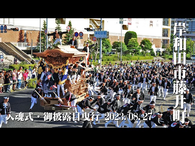 2023.08.27岸和田市藤井町地車入魂式・御披露目曳行 ｜KISHIWADA