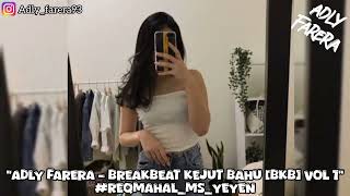 ADLY FARERA - DJ BREAKBEAT KEJUT BAHU (BKB) VOL 1 #REQMAHAL_MS_YEYEN