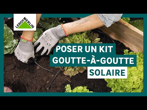 Comment installer un arrosage goutte à goutte solaire | Leroy Merlin
