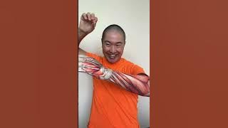 Sagawa1gou funny video 😂😂😂 | SAGAWA Best TikTok 2024 #shorts