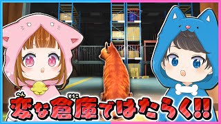 猫のために命がけでバイトします🐈【 ORDER 13 】【 ちろぴの 】