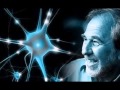 Los pensamientos curan más que los medicamentos. Bruce Lipton